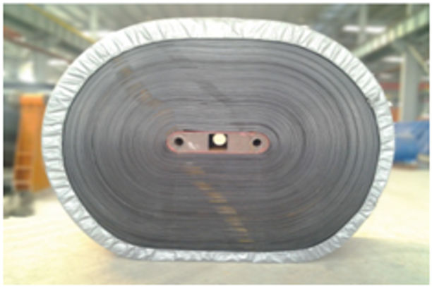 Steel Cord Conveyor Belt